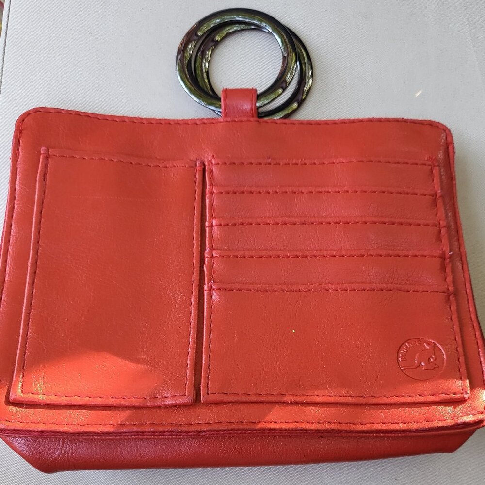 Pouchee Handbag Organizer